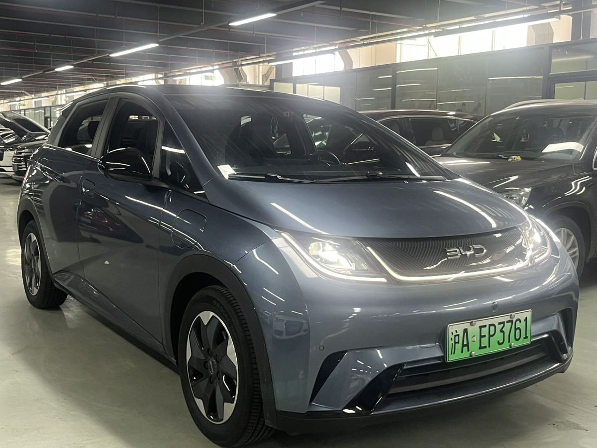 比亞迪 海豚  2024款 榮耀版 420km 時尚版圖片