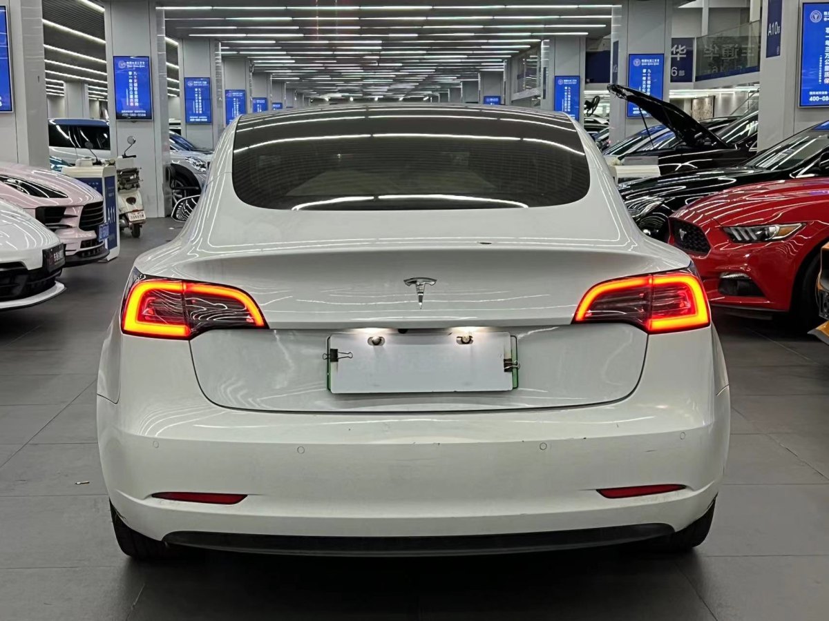 特斯拉 Model 3  2019款 長續(xù)航后驅(qū)版圖片