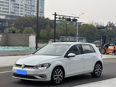 2019年02月 大眾 高爾夫 280TSI DSG豪華型 國(guó)VI圖片