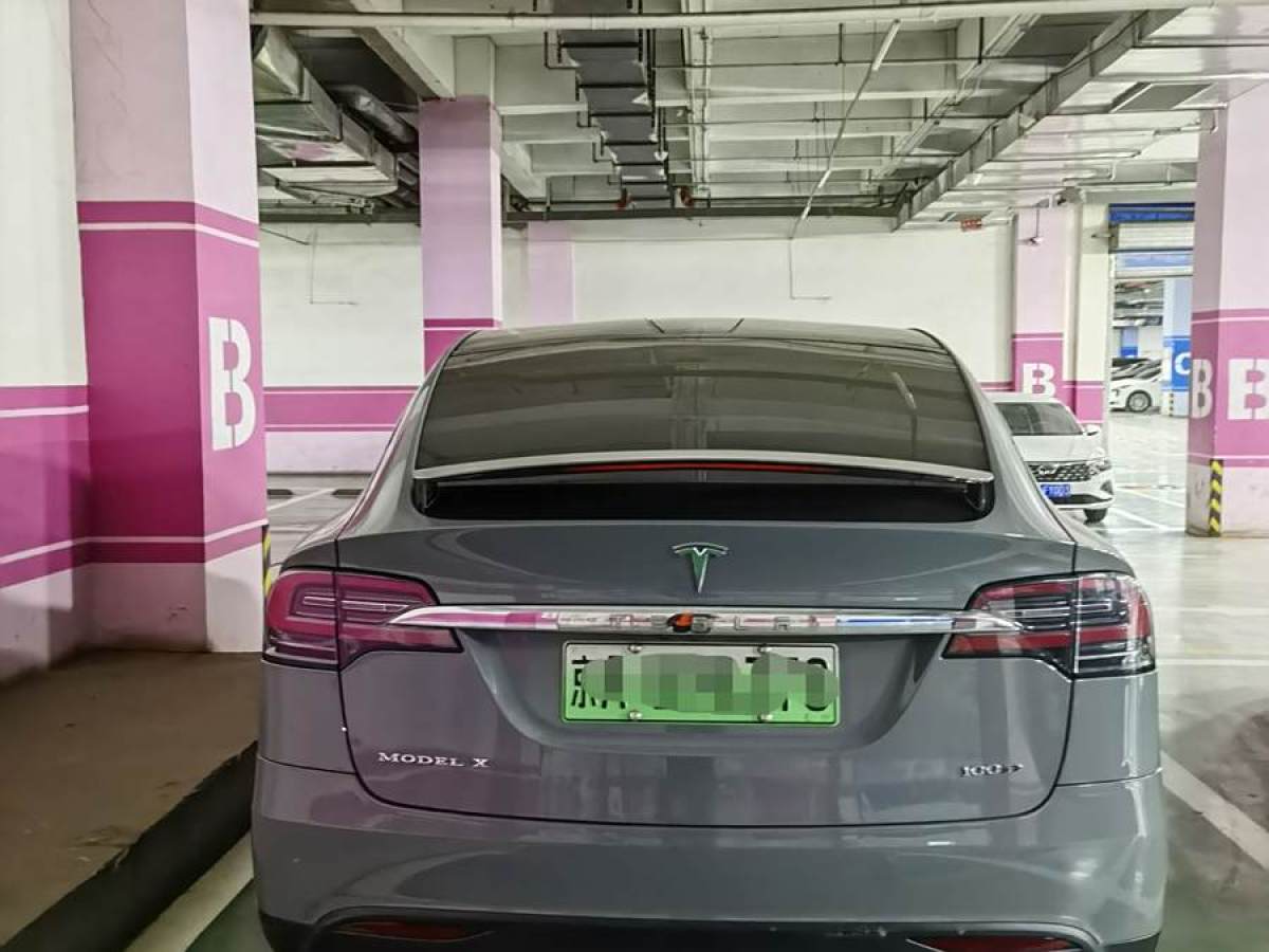 特斯拉 Model X  2017款 Model X 100D 長續(xù)航版圖片