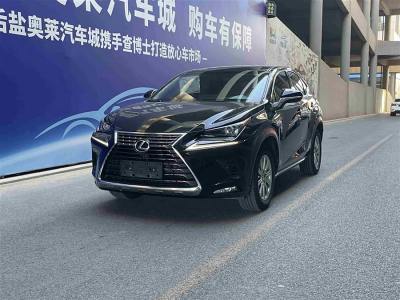 2019年1月 雷克薩斯 NX 300 前驅 鋒行版圖片