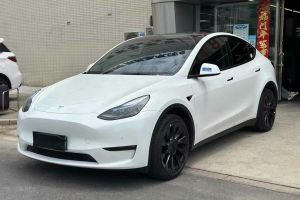 Model Y 特斯拉 Performance高性能全輪驅動版