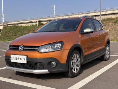 2015年1月 大众 Polo 1.6L Cross Polo 自动图片