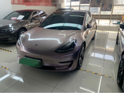 2022年03月 特斯拉 Model 3  改款 后轮驱动版图片