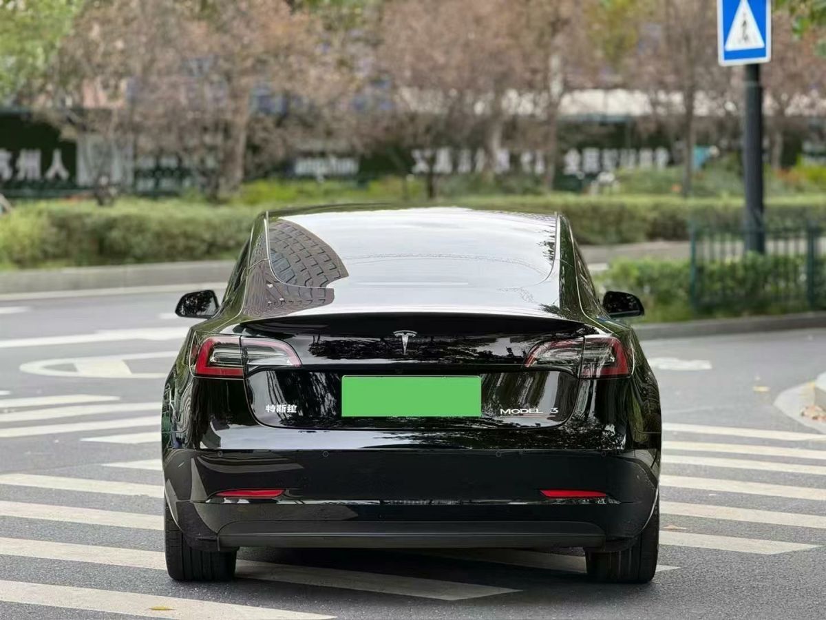 特斯拉 Model S  2023款 三電機(jī)全輪驅(qū)動(dòng) Plaid版圖片