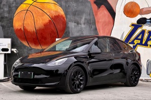 Model Y 特斯拉 改款 后輪驅(qū)動(dòng)版