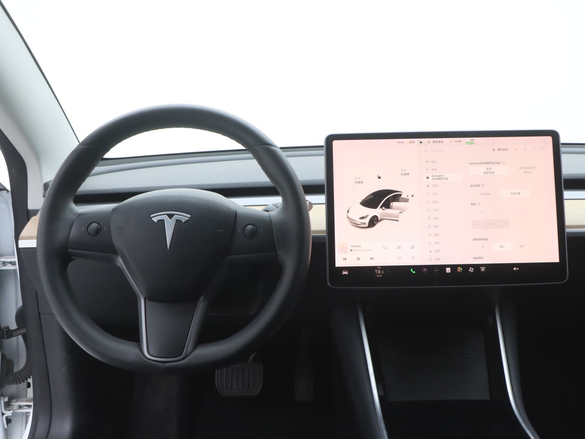 2020年2月特斯拉 Model 3  2019款 標(biāo)準(zhǔn)續(xù)航后驅(qū)升級版