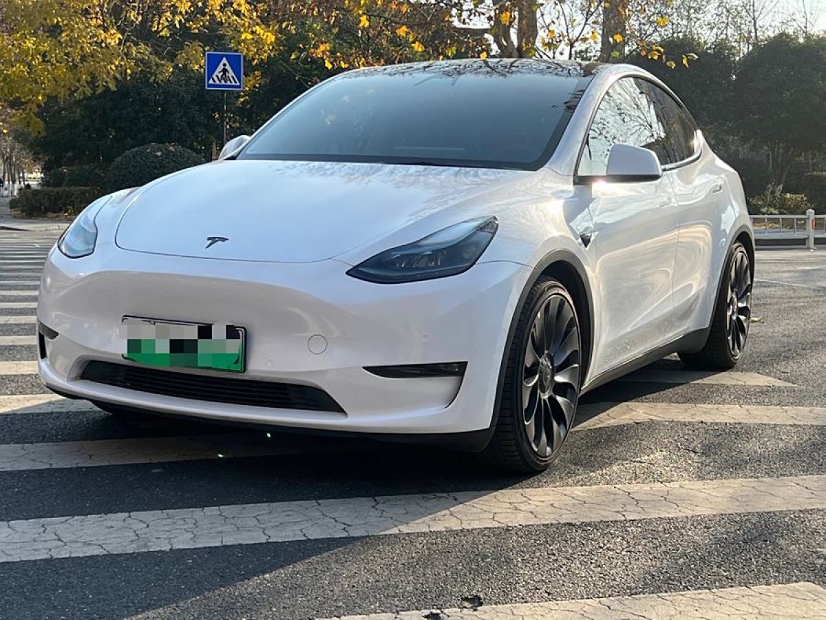 特斯拉 Model 3  2022款 Performance高性能全輪驅(qū)動版圖片