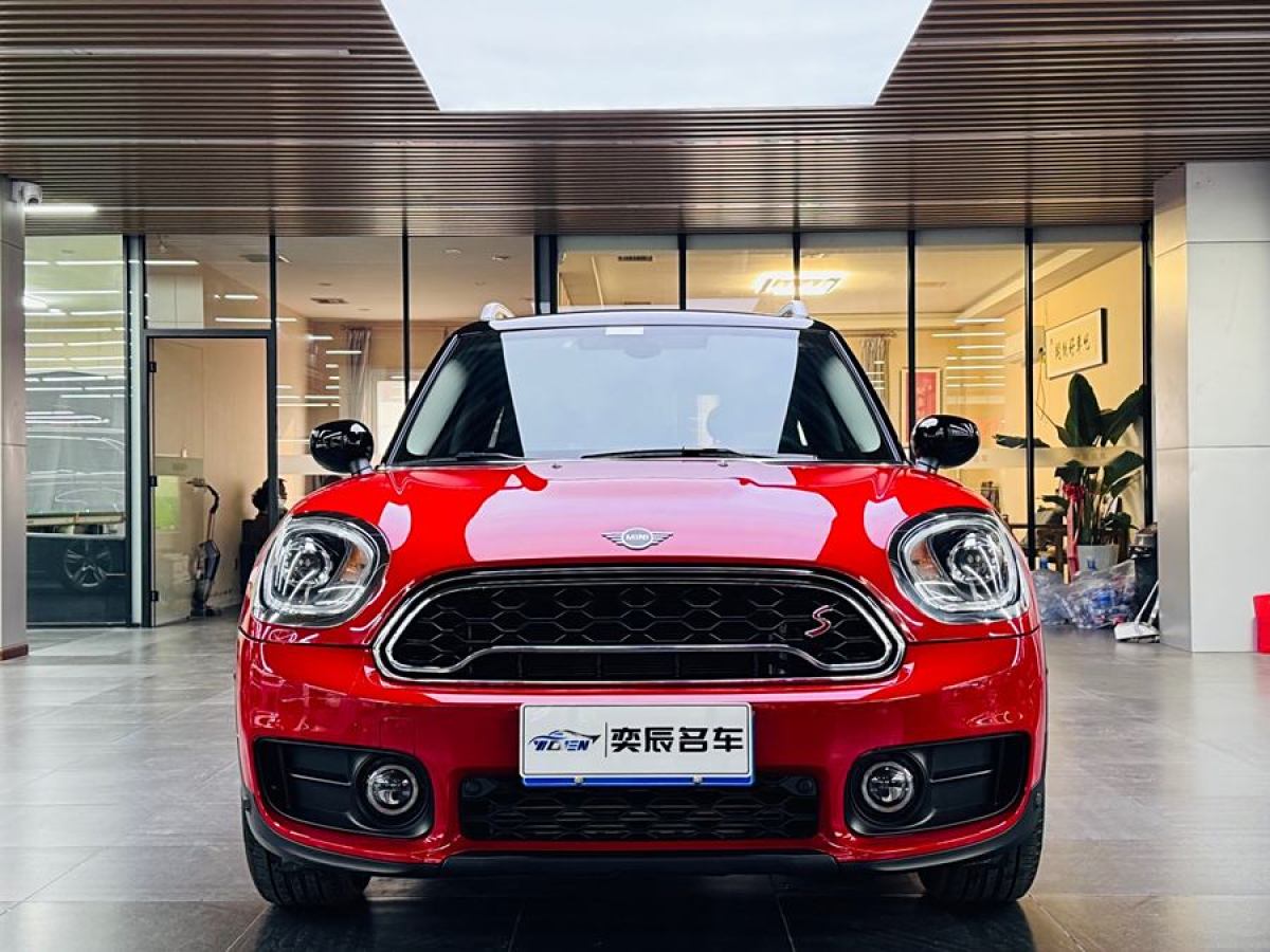 MINI COUNTRYMAN  2019款 2.0T COOPER S ALL4 藝術(shù)家圖片