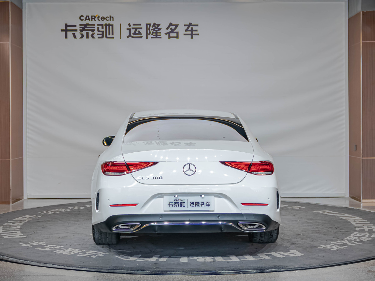 奔馳 奔馳CLS級  2018款 CLS 300 豪華型圖片