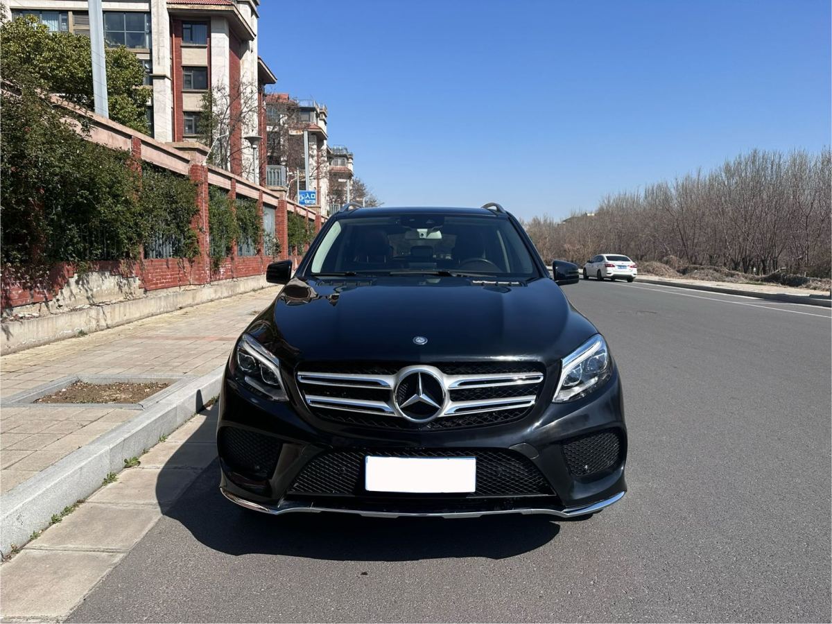 奔馳 奔馳GLE  2016款 GLE 320 4MATIC 動感型圖片