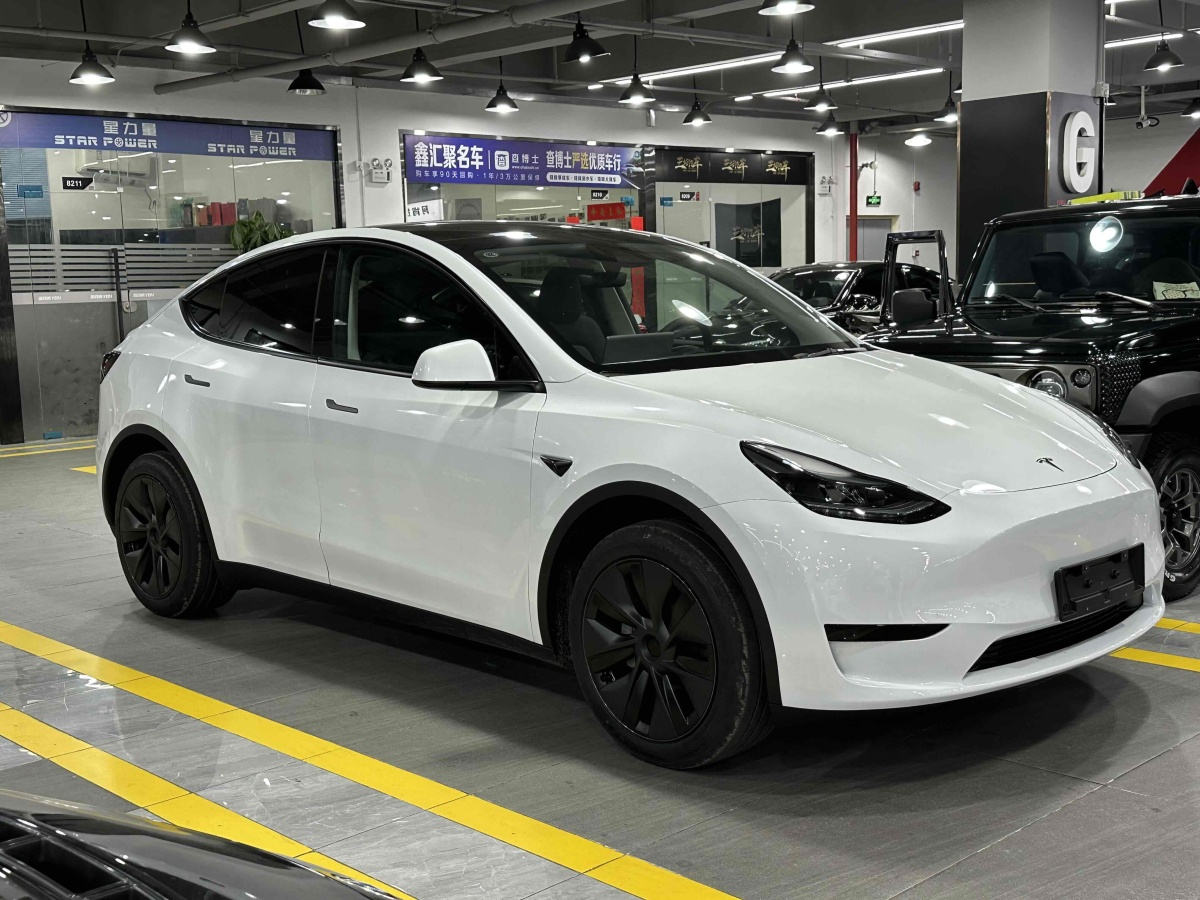 特斯拉 Model 3  2020款 改款 長續(xù)航后輪驅動版圖片