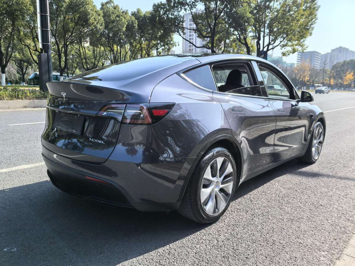 特斯拉 Model Y  2022款 后驅(qū)版圖片