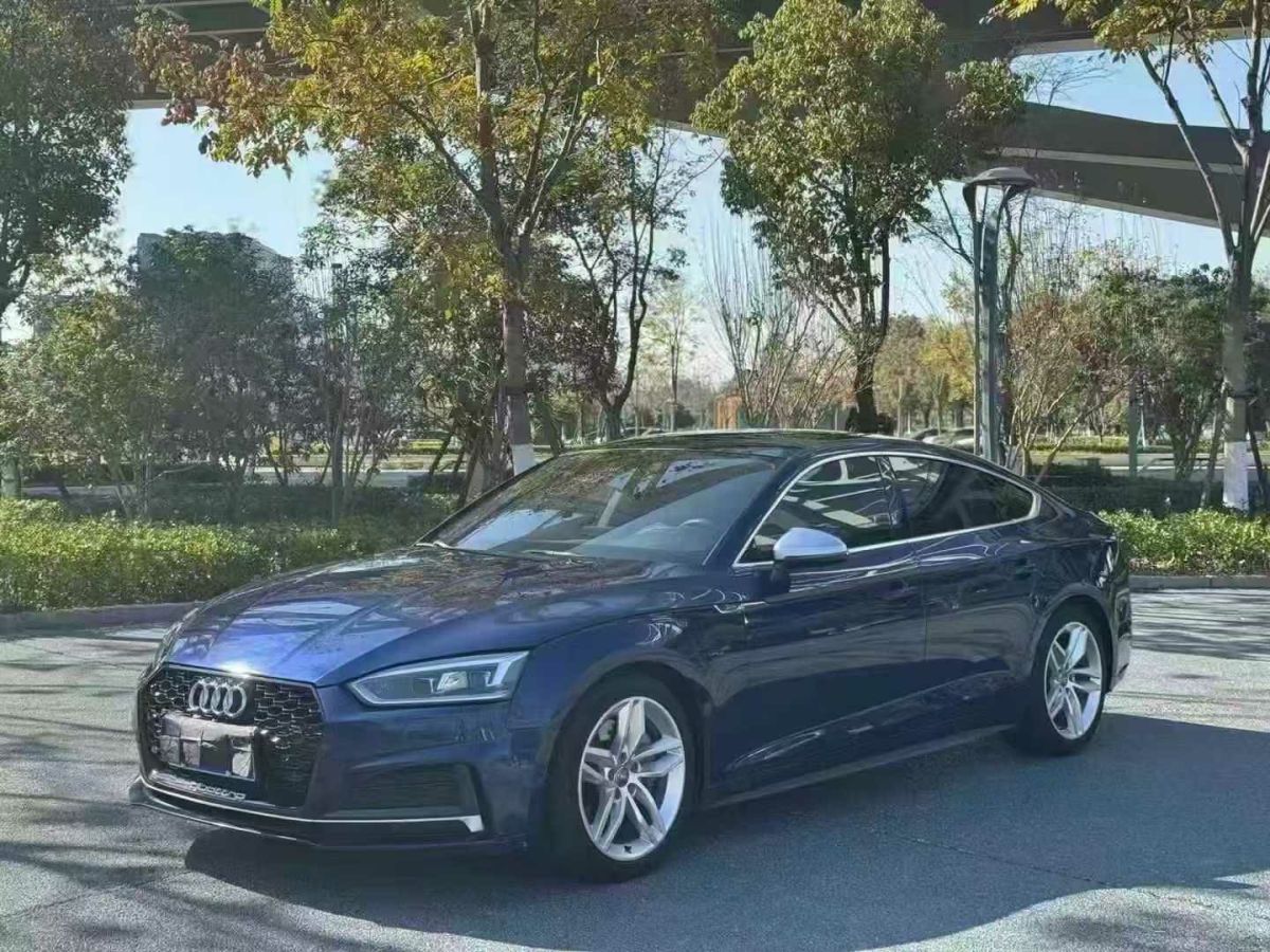 奧迪 奧迪Q5  2018款 典藏版 40 TFSI 技術型圖片