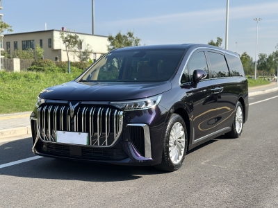 2024年3月 嵐圖 夢(mèng)想家 PHEV 超長續(xù)航卓越版圖片