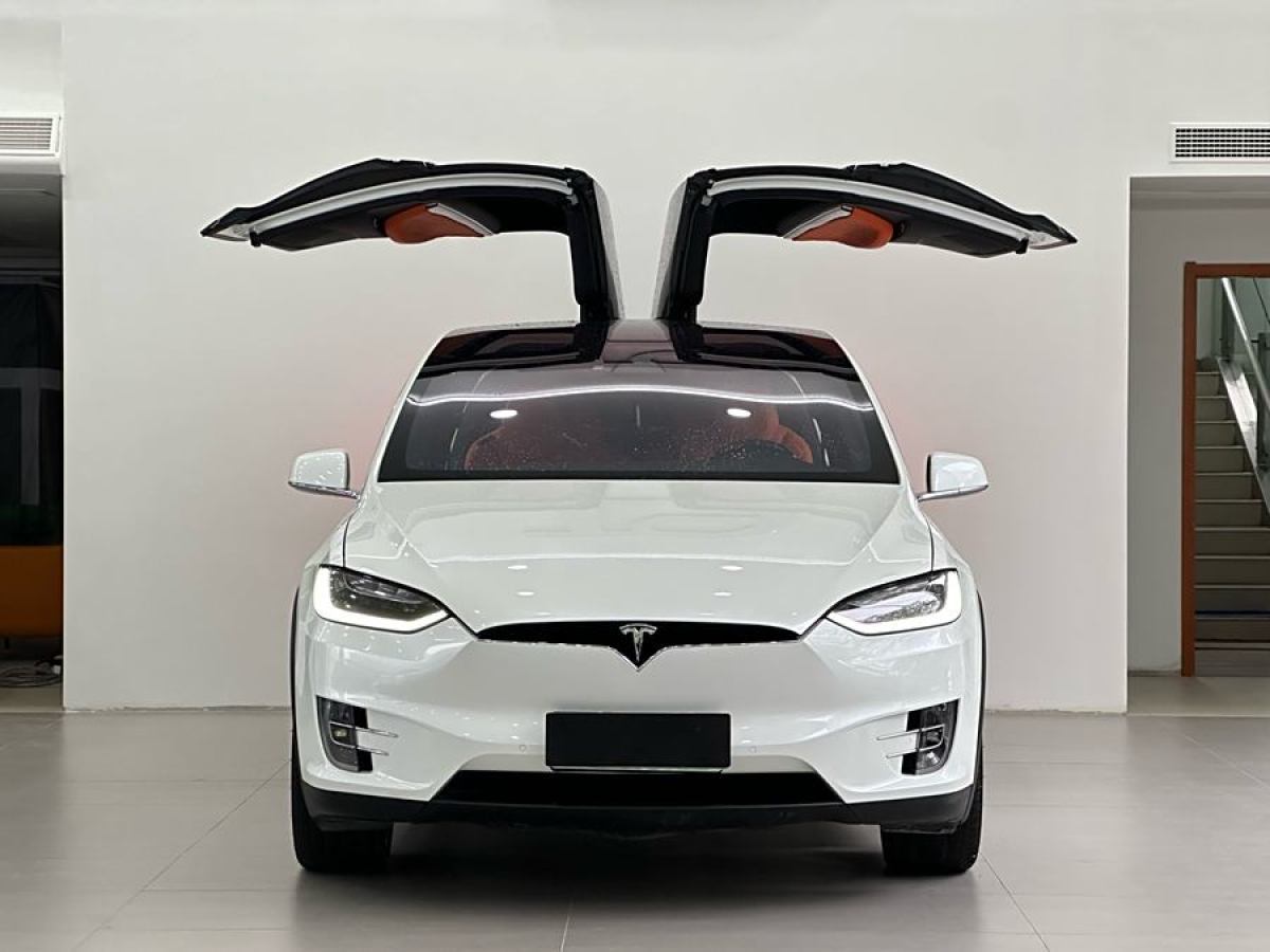 特斯拉 Model X  2017款 Model X 100D 長(zhǎng)續(xù)航版圖片