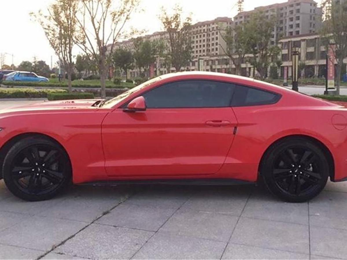 福特 Mustang  2015款 2.3T 性能版圖片