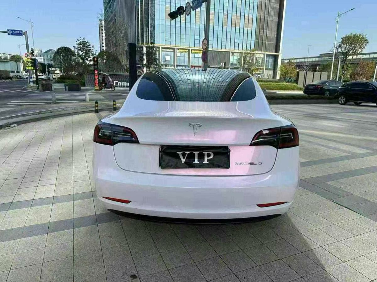 特斯拉 Model S  2023款 三電機(jī)全輪驅(qū)動(dòng) Plaid版圖片