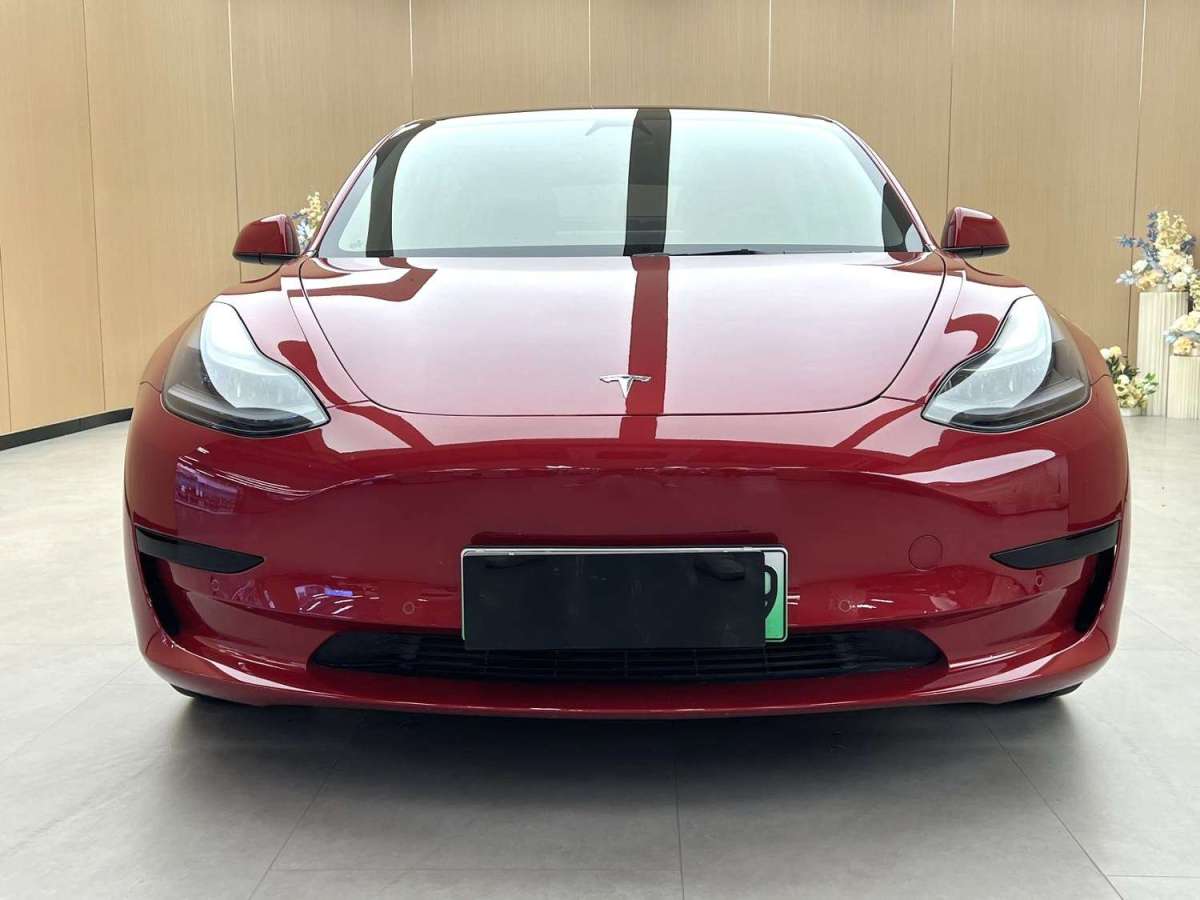 特斯拉 Model 3  2019款 標準續(xù)航后驅(qū)升級版圖片