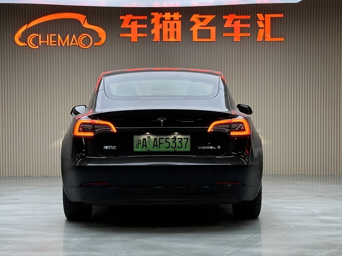 特斯拉 Model 3  2019款 標(biāo)準(zhǔn)續(xù)航后驅(qū)升級版圖片