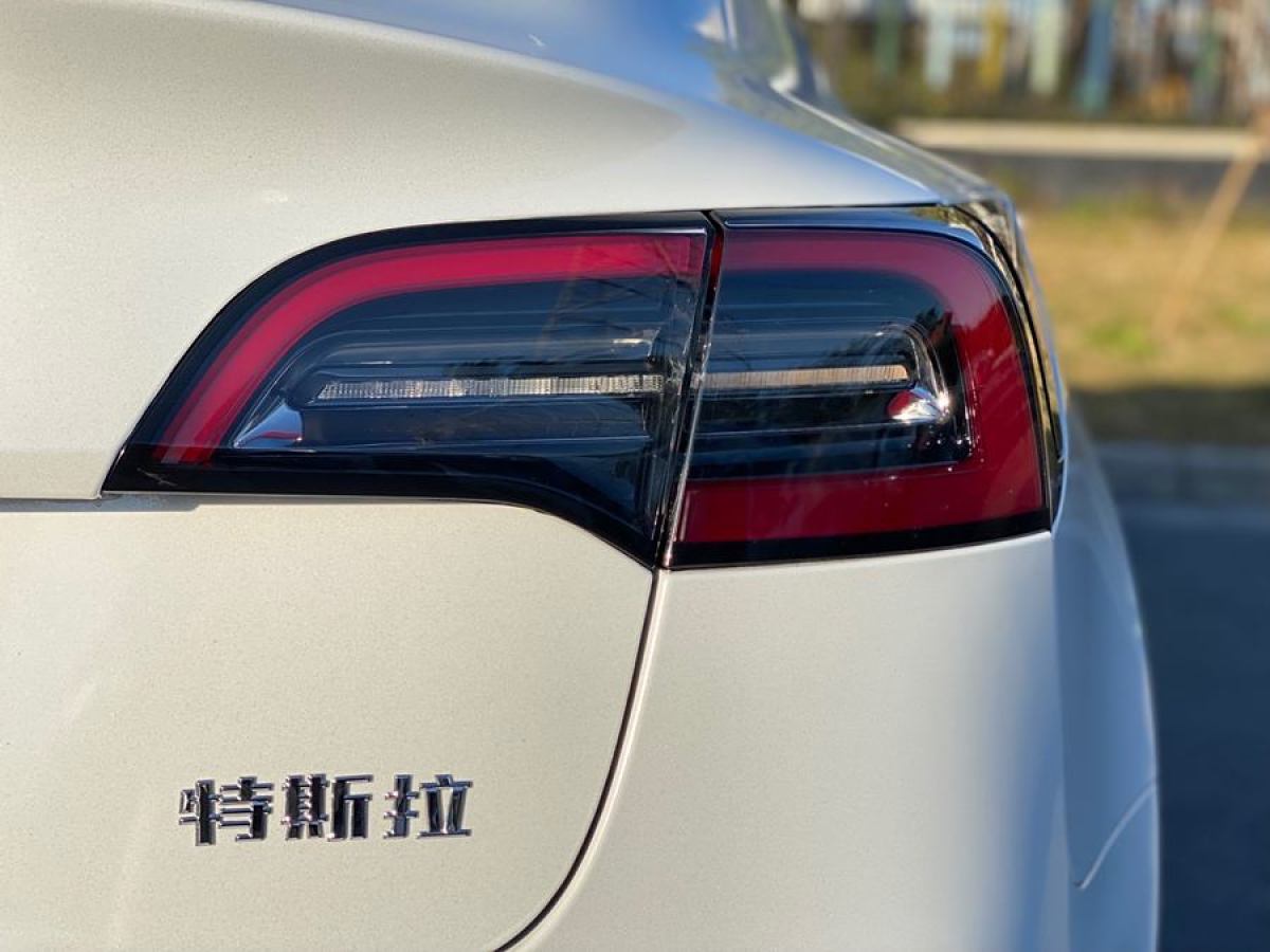 特斯拉 Model 3  2021款 改款 標(biāo)準(zhǔn)續(xù)航后驅(qū)升級(jí)版圖片