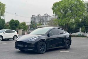 Model Y 特斯拉 Performance高性能全輪驅(qū)動(dòng)版