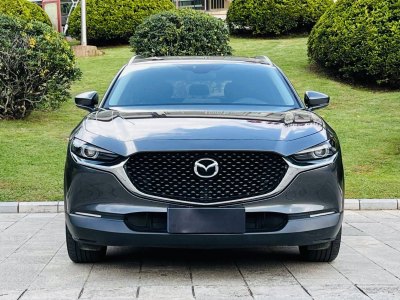 2020年7月 马自达 CX-30 2.0L 自动嘉悦型图片