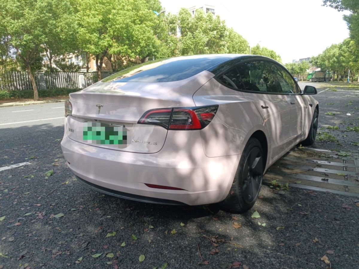 特斯拉 Model 3  2022款 改款 后輪驅(qū)動(dòng)版圖片