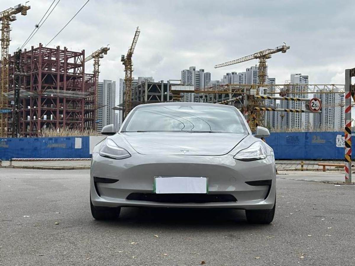 特斯拉 Model 3  2019款 標(biāo)準(zhǔn)續(xù)航后驅(qū)升級(jí)版圖片