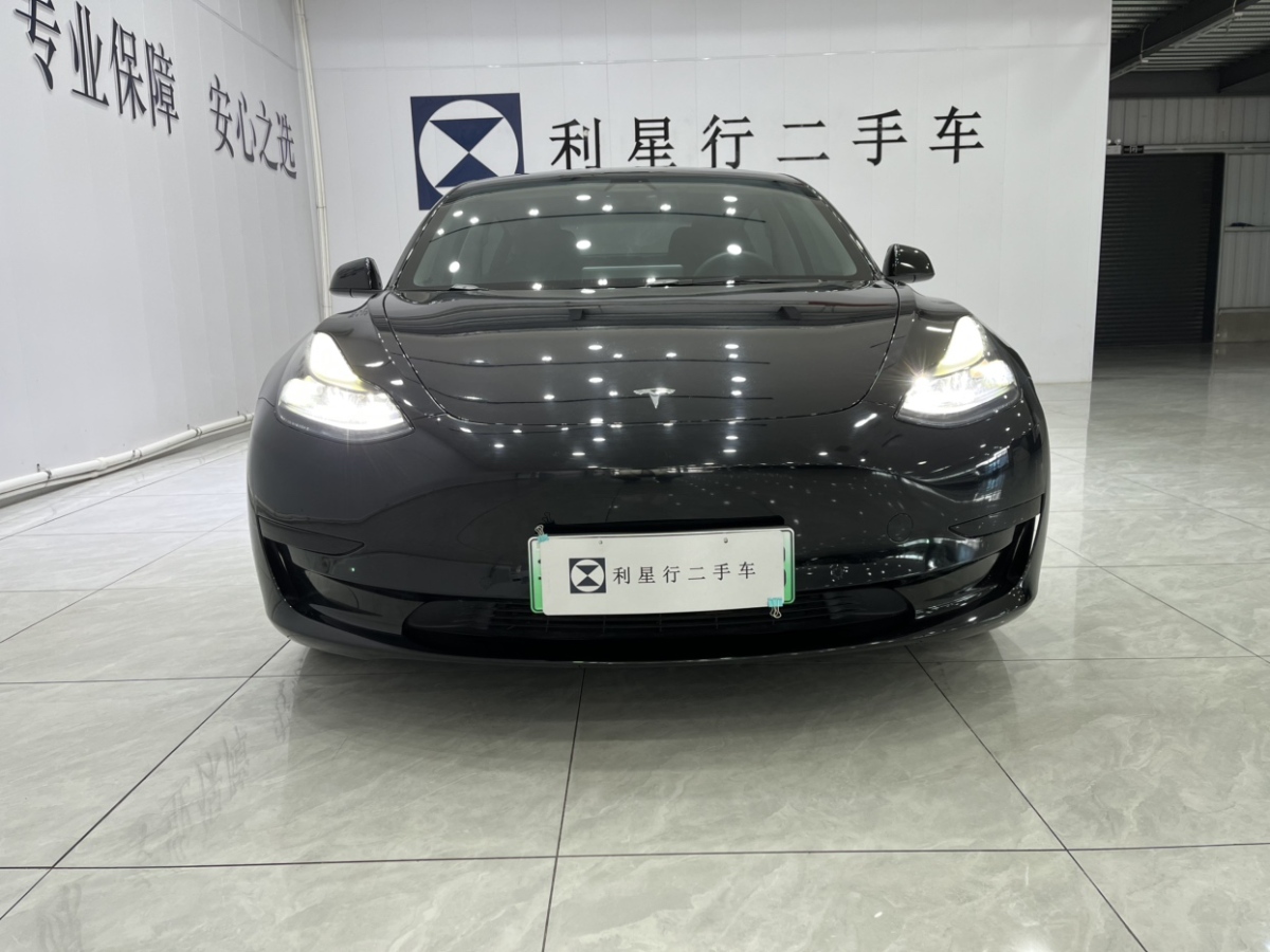 2022年1月特斯拉 Model 3  2021款 標(biāo)準(zhǔn)續(xù)航后驅(qū)升級(jí)版 3D6