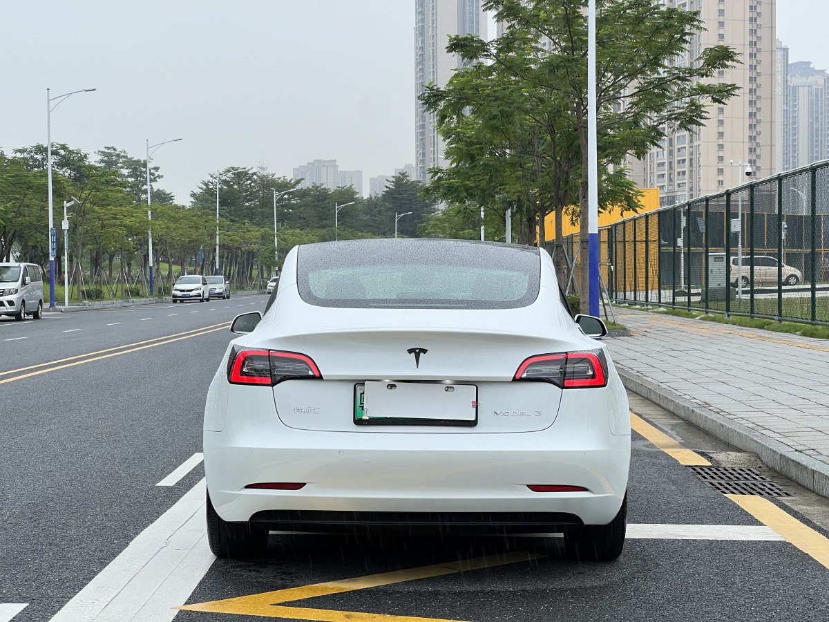 特斯拉 Model 3  2019款 標(biāo)準(zhǔn)續(xù)航后驅(qū)升級(jí)版圖片