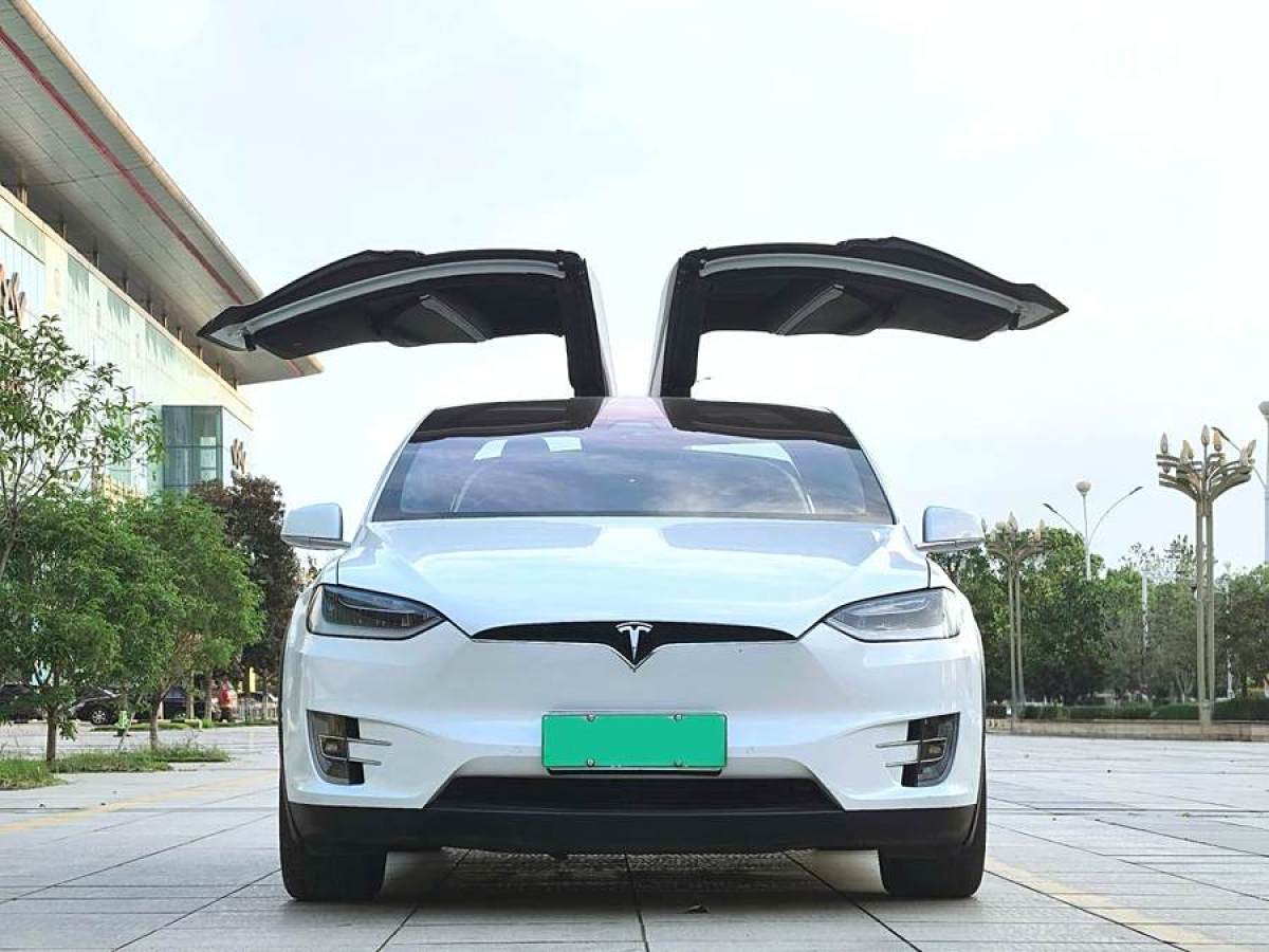 2017年5月特斯拉 Model X  2016款 Model X 90D