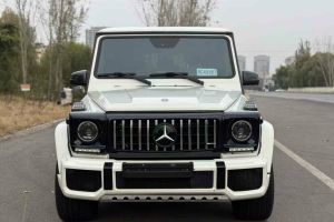 奔驰G级AMG 奔驰 AMG G 63