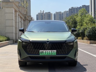 2023年6月 启辰 启辰大V DD-i超混动 110km iE版 三元锂图片