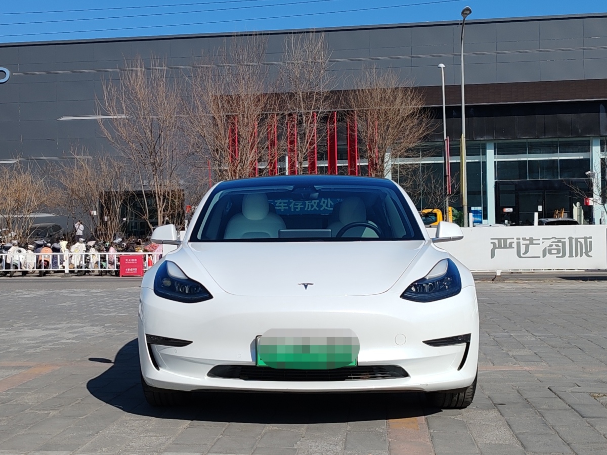 特斯拉 Model 3  2020款 改款 長續(xù)航后輪驅(qū)動版圖片