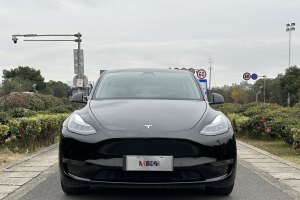 Model 3 特斯拉 改款 长续航后轮驱动版