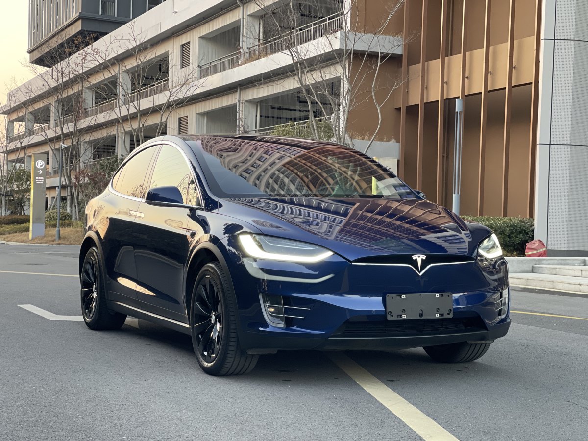 特斯拉 Model X  2017款 Model X 100D 長續(xù)航版圖片