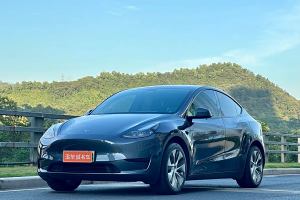 Model 3 特斯拉 改款 长续航后轮驱动版