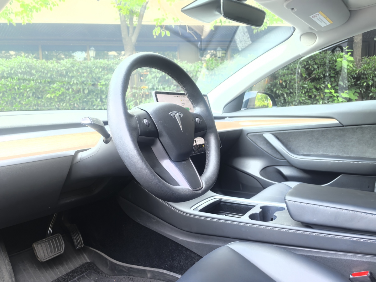 特斯拉 Model 3  2021款 標(biāo)準(zhǔn)續(xù)航后驅(qū)升級版 3D6圖片