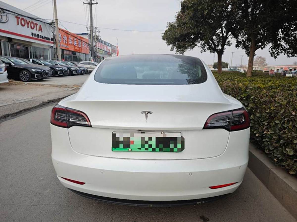 特斯拉 Model 3  2019款 標準續(xù)航后驅(qū)升級版圖片