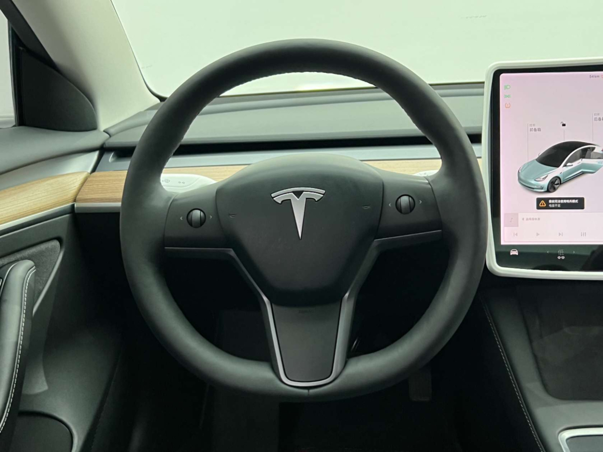 特斯拉 Model 3  2019款 标准续航后驱升级版图片