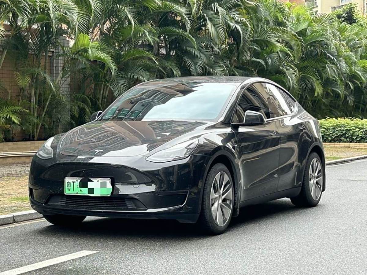 特斯拉 Model 3  2022款 后輪驅(qū)動(dòng)版圖片