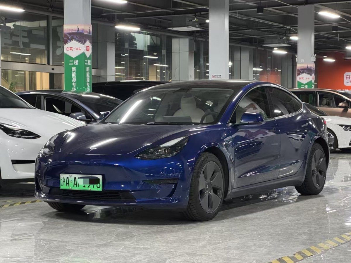 特斯拉 Model 3  2021款 標(biāo)準(zhǔn)續(xù)航后驅(qū)升級版 3D6圖片