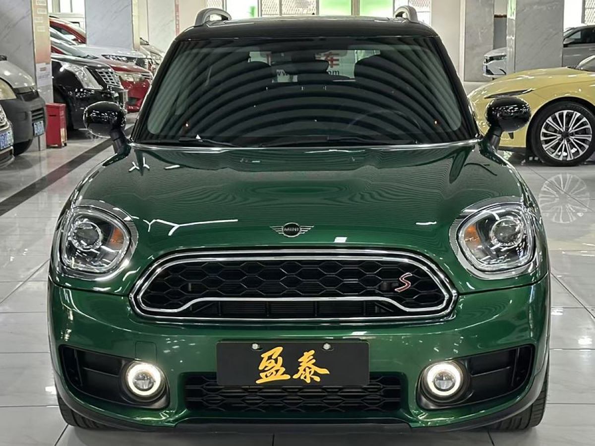 MINI COUNTRYMAN  2019款 2.0T COOPER S ALL4 藝術(shù)家圖片