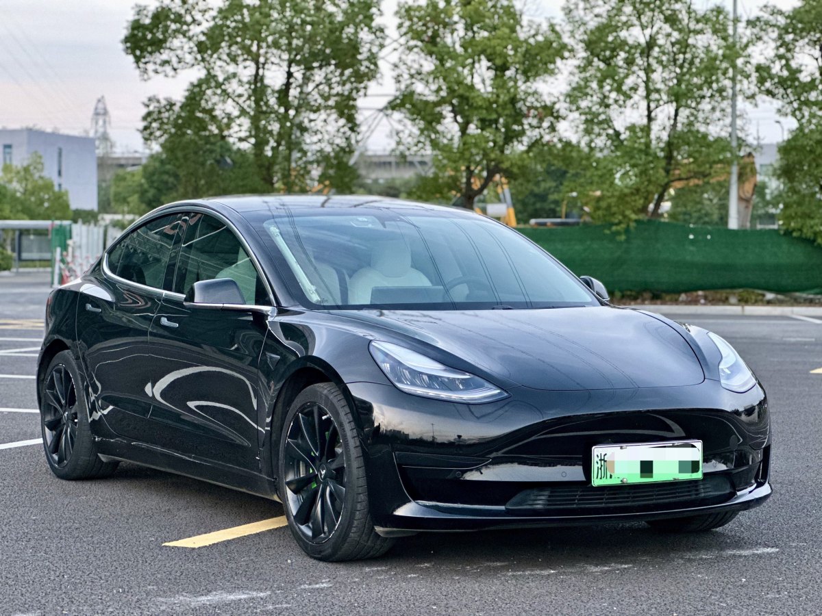 特斯拉 Model 3  2019款 標(biāo)準(zhǔn)續(xù)航后驅(qū)升級(jí)版圖片