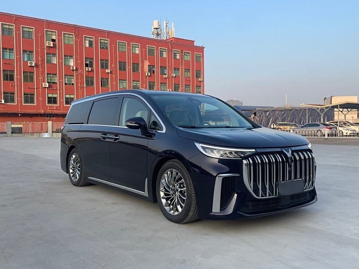 嵐圖 夢想家  2024款 PHEV 超長續(xù)航尊貴版圖片