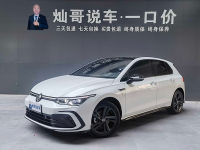 2022年03月 大眾 高爾夫 280TSI DSG Pro 首發(fā)版圖片