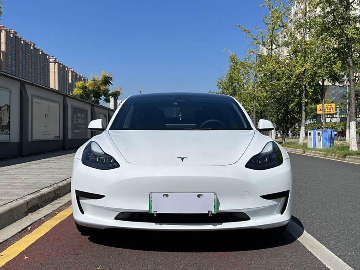 特斯拉 Model 3  2021款 標(biāo)準(zhǔn)續(xù)航后驅(qū)升級(jí)版 3D6圖片