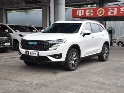 2023年3月 哈弗 哈弗H6新能源 DHT-PHEV 110KM 暢行版圖片