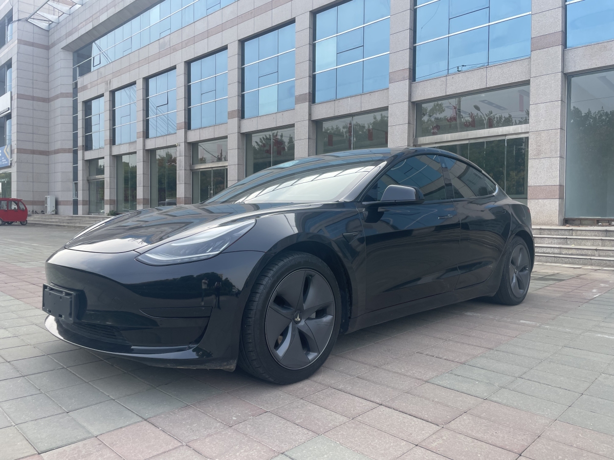 特斯拉 Model 3  2019款 標(biāo)準(zhǔn)續(xù)航后驅(qū)升級(jí)版圖片